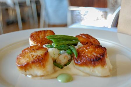 Pan seared scallops